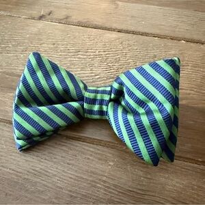 Green and Blue Striped Bow Tie
